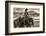 Washoe-Lisa Dearing-Framed Photographic Print