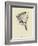 Washtubbia Circularis-Edward Lear-Framed Giclee Print