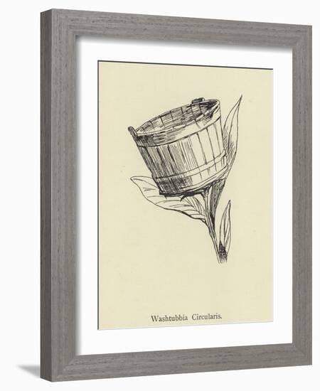 Washtubbia Circularis-Edward Lear-Framed Giclee Print