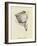 Washtubbia Circularis-Edward Lear-Framed Giclee Print