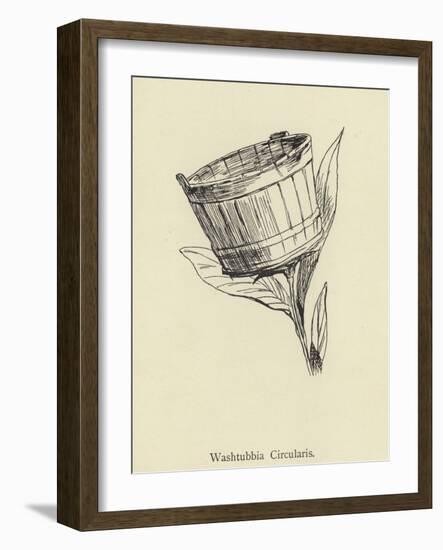 Washtubbia Circularis-Edward Lear-Framed Giclee Print