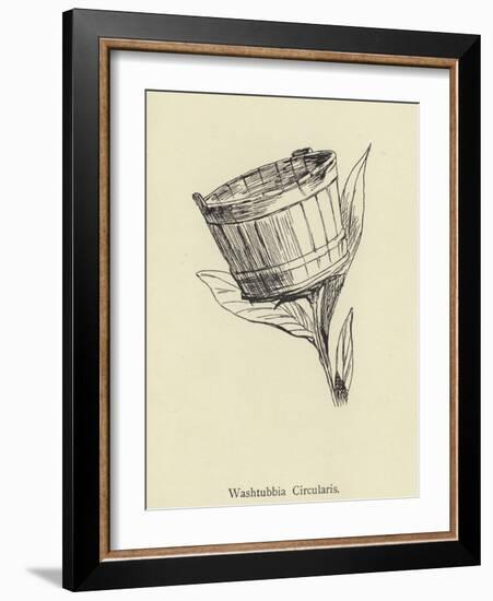 Washtubbia Circularis-Edward Lear-Framed Giclee Print