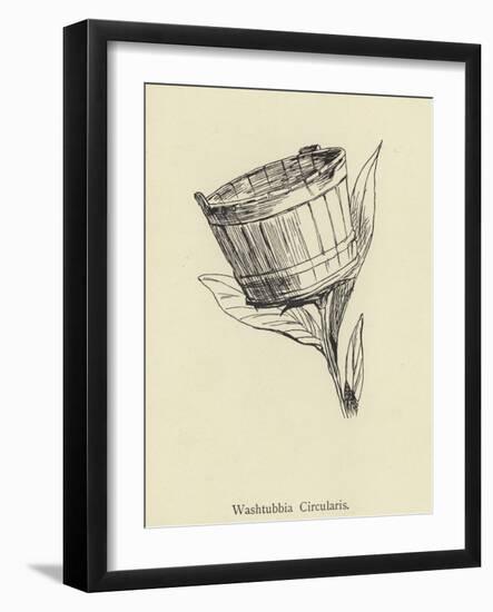 Washtubbia Circularis-Edward Lear-Framed Giclee Print