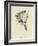 Washtubbia Circularis-Edward Lear-Framed Giclee Print