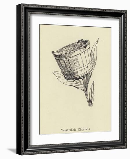 Washtubbia Circularis-Edward Lear-Framed Giclee Print