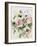 Washy Pink Roses B-Jean Plout-Framed Giclee Print