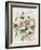 Washy Pink Roses B-Jean Plout-Framed Giclee Print