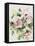 Washy Pink Roses B-Jean Plout-Framed Premier Image Canvas