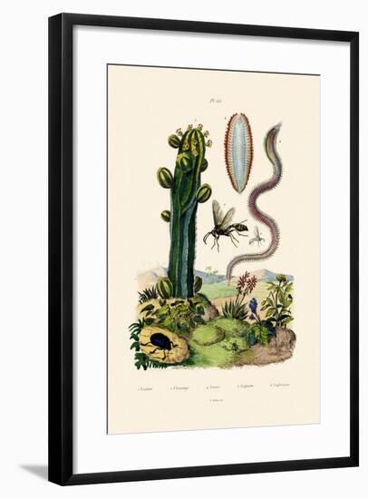 Wasp, 1833-39-null-Framed Giclee Print