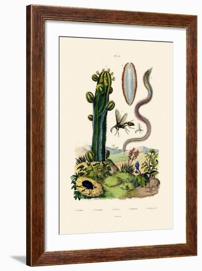 Wasp, 1833-39-null-Framed Giclee Print