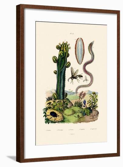 Wasp, 1833-39-null-Framed Giclee Print