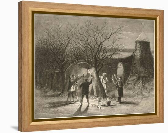 Wassailing Apple Trees with Hot Cider in Devonshire on Twelfth Night-null-Framed Stretched Canvas