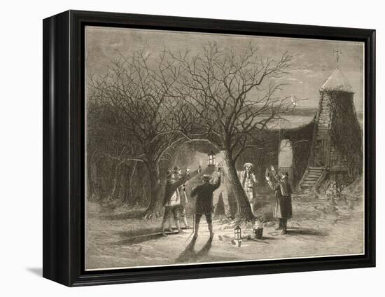 Wassailing Apple Trees with Hot Cider in Devonshire on Twelfth Night-null-Framed Stretched Canvas