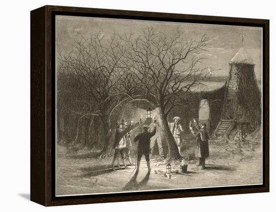 Wassailing Apple Trees with Hot Cider in Devonshire on Twelfth Night-null-Framed Stretched Canvas