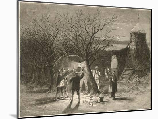 Wassailing Apple Trees with Hot Cider in Devonshire on Twelfth Night-null-Mounted Art Print