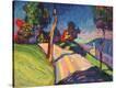 Stretched Canvas Print