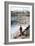 Waste Water Monitoring-Paul Rapson-Framed Photographic Print