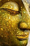 The Face of Buddha-Wasu Watcharadachaphong-Framed Premier Image Canvas