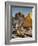 Wat Lokaya Suttha in Ayutthaya Reclining Buddha-Terry Eggers-Framed Photographic Print