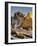 Wat Lokaya Suttha in Ayutthaya Reclining Buddha-Terry Eggers-Framed Photographic Print