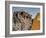 Wat Lokaya Suttha in Ayutthaya Reclining Buddha-Terry Eggers-Framed Photographic Print