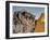 Wat Lokaya Suttha in Ayutthaya Reclining Buddha-Terry Eggers-Framed Photographic Print