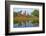 Wat Mahatat, Sukhothai Historical Park, Sukhothai, Thailand, Southeast Asia, Asia-null-Framed Photographic Print