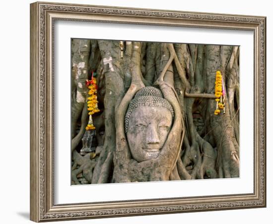 Wat Mahathat, Buddha Head, Ayutthaya, Thailand-Steve Vidler-Framed Photographic Print