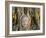 Wat Mahathat, Buddha Head, Ayutthaya, Thailand-Steve Vidler-Framed Photographic Print