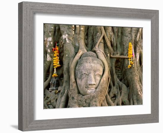 Wat Mahathat, Buddha Head, Ayutthaya, Thailand-Steve Vidler-Framed Photographic Print