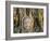 Wat Mahathat, Buddha Head, Ayutthaya, Thailand-Steve Vidler-Framed Photographic Print