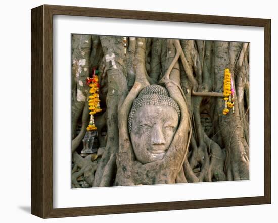 Wat Mahathat, Buddha Head, Ayutthaya, Thailand-Steve Vidler-Framed Photographic Print