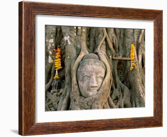 Wat Mahathat, Buddha Head, Ayutthaya, Thailand-Steve Vidler-Framed Photographic Print