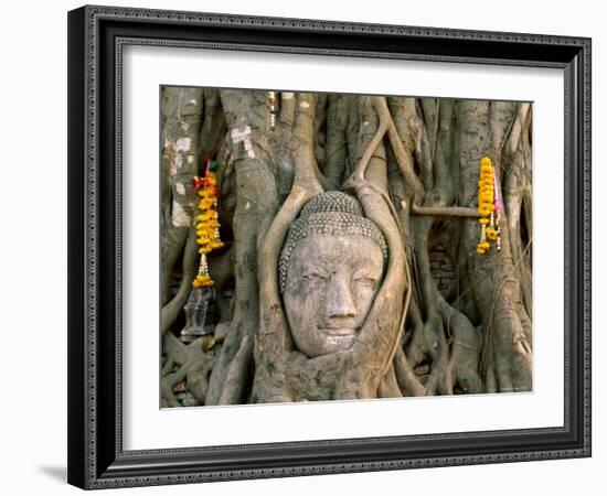 Wat Mahathat, Buddha Head, Ayutthaya, Thailand-Steve Vidler-Framed Photographic Print