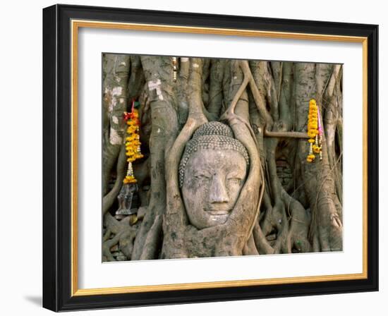 Wat Mahathat, Buddha Head, Ayutthaya, Thailand-Steve Vidler-Framed Photographic Print