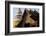 Wat Phra Singh, Chiang Mai, Thailand, South East Asia-Peter Adams-Framed Photographic Print