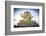 Wat Phra Yai Ko Pan (Big Buddha), Bo Phut, Koh Samui, Thailand-Jon Arnold-Framed Photographic Print