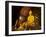 Wat Suan Dok, Chiang Mai, Chiang Mai Province, Thailand, Southeast Asia, Asia-Michael Snell-Framed Photographic Print
