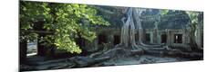 Premium Photographic Print