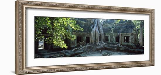 Wat Temple Complex of Ta-Prohm Cambodia-null-Framed Photographic Print