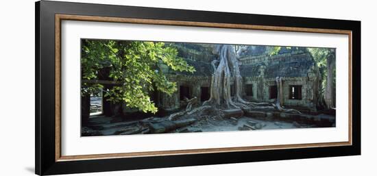 Wat Temple Complex of Ta-Prohm Cambodia-null-Framed Photographic Print