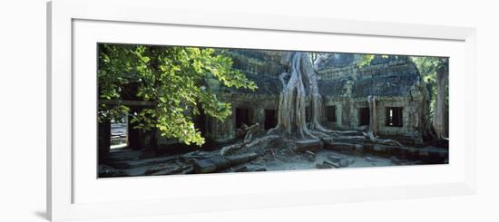 Wat Temple Complex of Ta-Prohm Cambodia-null-Framed Photographic Print