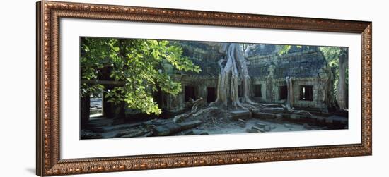 Wat Temple Complex of Ta-Prohm Cambodia-null-Framed Photographic Print