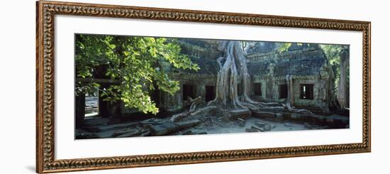 Wat Temple Complex of Ta-Prohm Cambodia-null-Framed Photographic Print