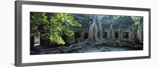 Wat Temple Complex of Ta-Prohm Cambodia-null-Framed Photographic Print