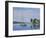 Watch Hill Harbor-Bruce Dumas-Framed Giclee Print