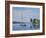 Watch Hill Harbor-Bruce Dumas-Framed Giclee Print