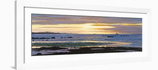 Watch Hill Low Tide-Bruce Dumas-Framed Giclee Print