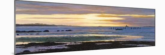 Watch Hill Low Tide-Bruce Dumas-Mounted Giclee Print