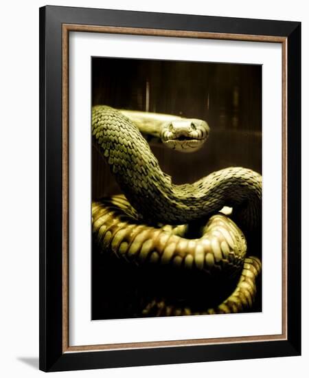 Watched-Clive Nolan-Framed Photographic Print